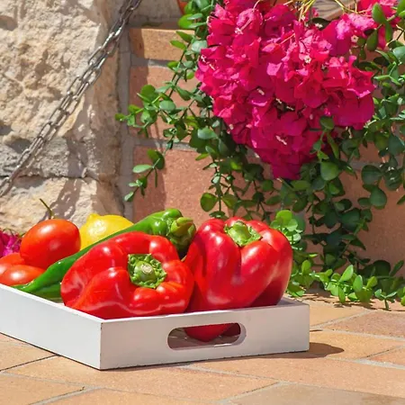 Sabine - Plusholidays Villa Calpe